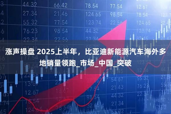 涨声操盘 2025上半年，比亚迪新能源汽车海外多地销量领跑_市场_中国_突破